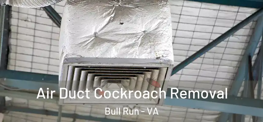 Air Duct Cockroach Removal Bull Run - VA