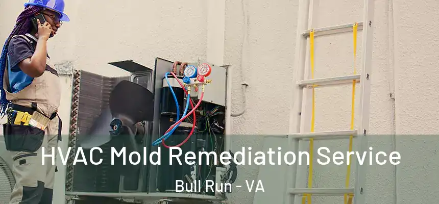 HVAC Mold Remediation Service Bull Run - VA