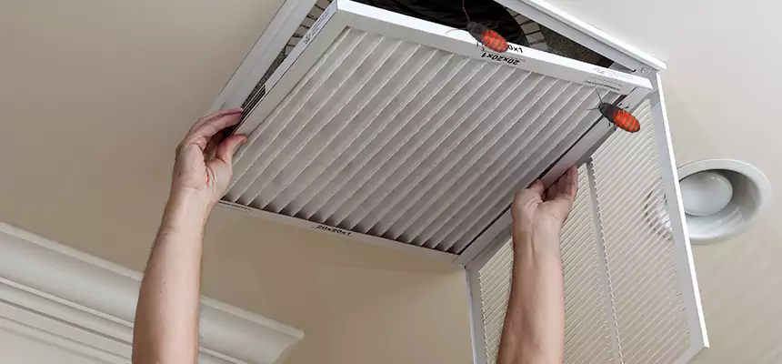 Preventive Cockroach-Proofing for Ducts in Bull Run