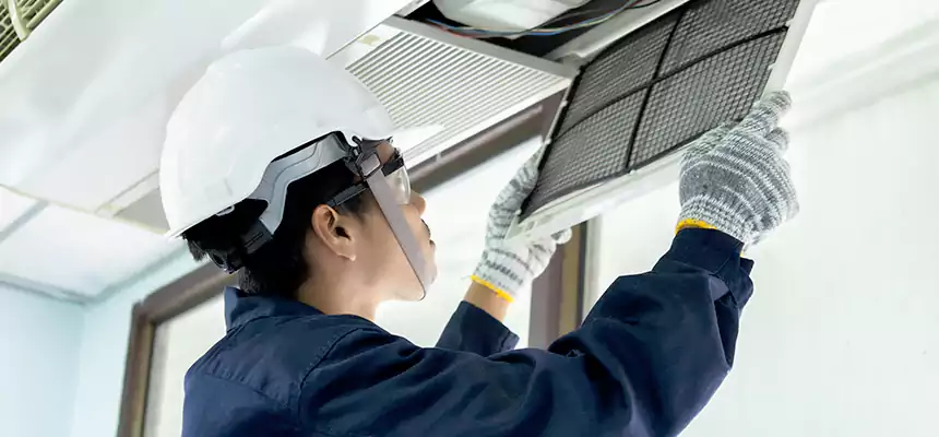 Our Mold & Mildew Removal from Air Ducts Services in Bull Run, VA