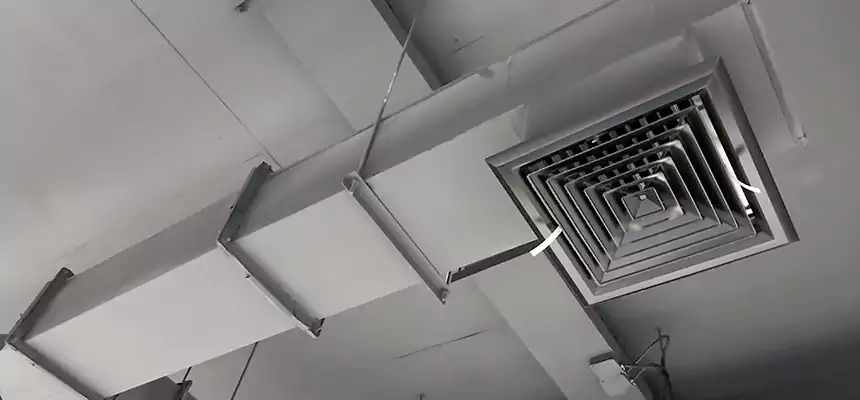 Our Rodent Droppings In Vents Services in Bull Run, VA