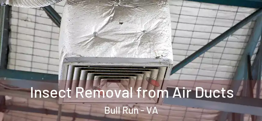 Insect Removal from Air Ducts Bull Run - VA