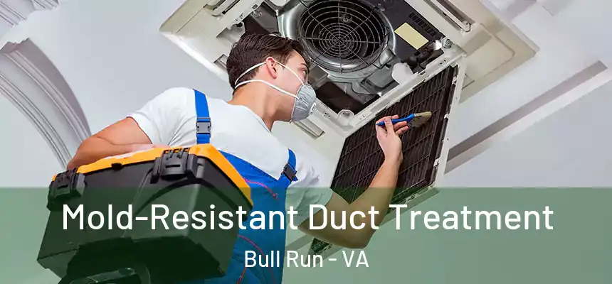  Mold-Resistant Duct Treatment Bull Run - VA
