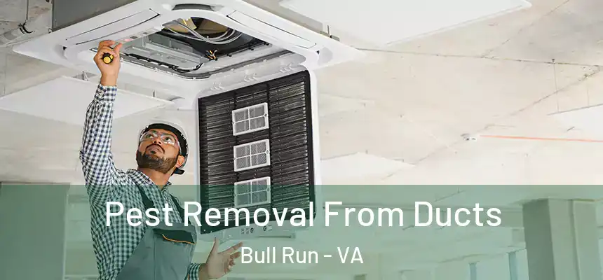  Pest Removal From Ducts Bull Run - VA