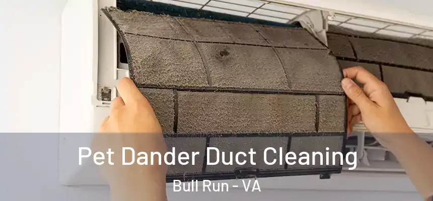  Pet Dander Duct Cleaning Bull Run - VA