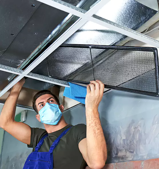 Professional Air Duct Pollen Cleaning in Bull Run, VA
