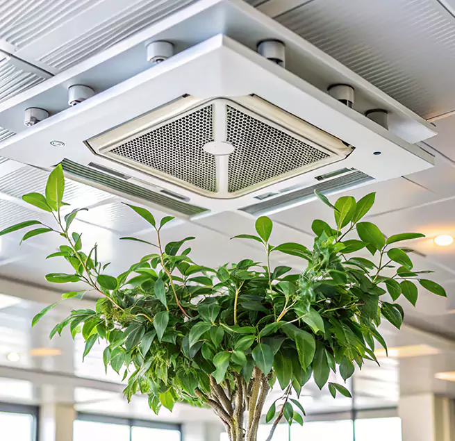 Why Homeowners & Businesses Trust Us in Bull Run, VA?